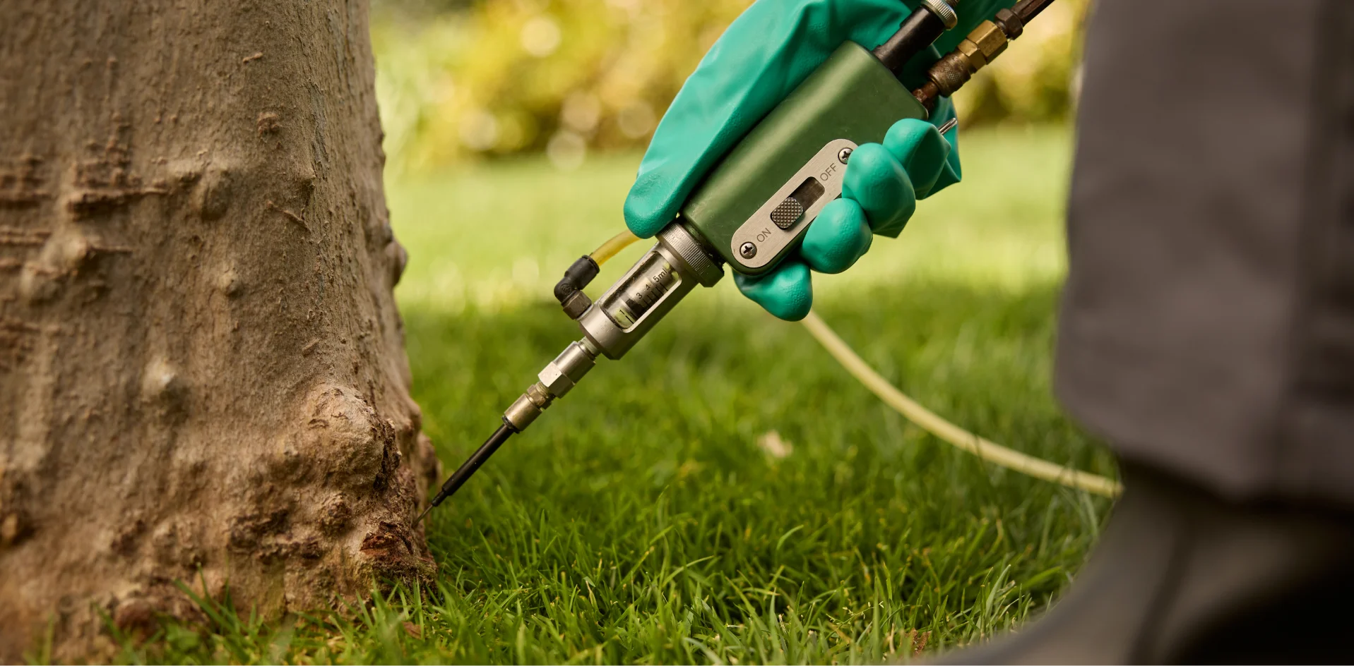 Benefits Section for trushrub-tree-and-shrub-care