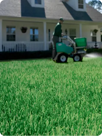 Close-up macro view of a perfectly manicured, dense green lawn.