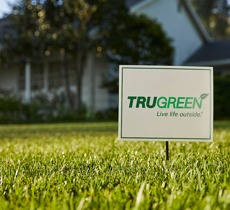 Lawn Weed Control Ut